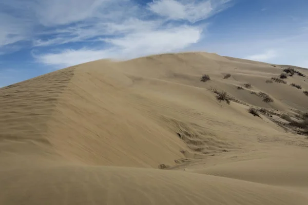 Prachtige Zand Barkhan Duin Kazachstan Woestijn — Stockfoto