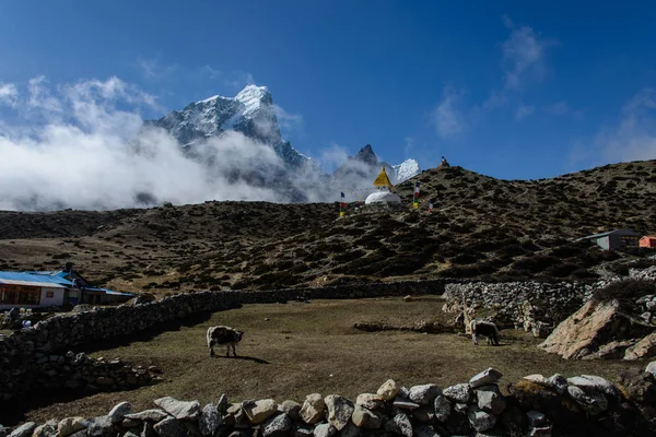 Trekking Nepal Himalaya — Foto de Stock