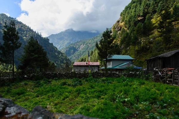 在尼泊尔徒步旅行 喜马拉雅山 — 图库照片