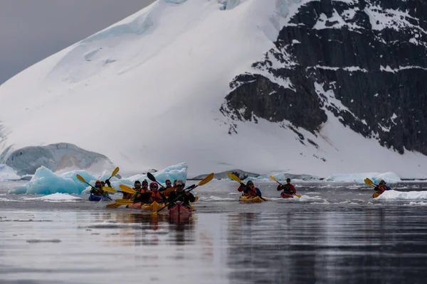Grupo Pessoas Expedição Caiaque Paisagem Antártida — Fotografia de Stock