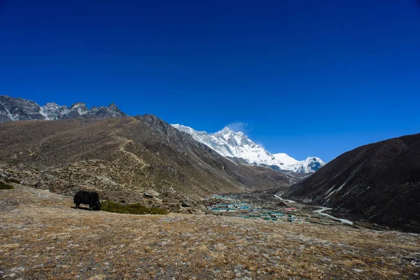 Trekking Nepal Himalaya — Stockfoto