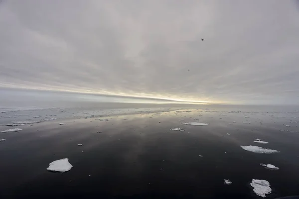 Rock with snow in sea