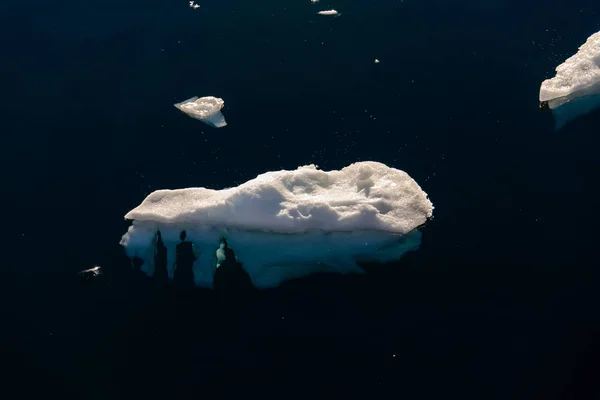 Айсберг Хвилястому Морі — стокове фото