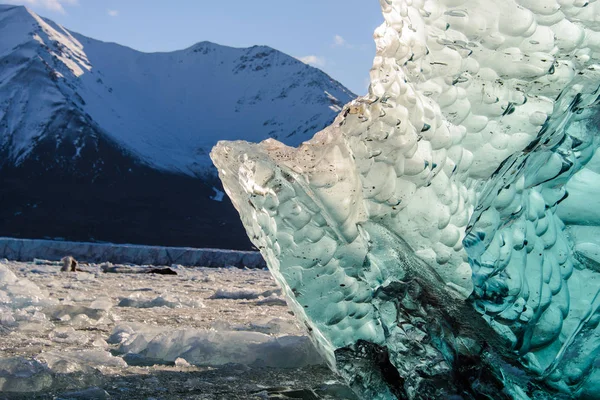 Vue Imprenable Sur Glacier — Photo