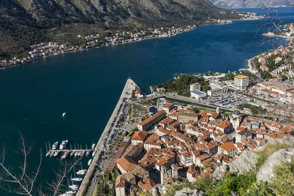 Hermosa Vista Bahía Kotor Desde Colina — Foto de Stock