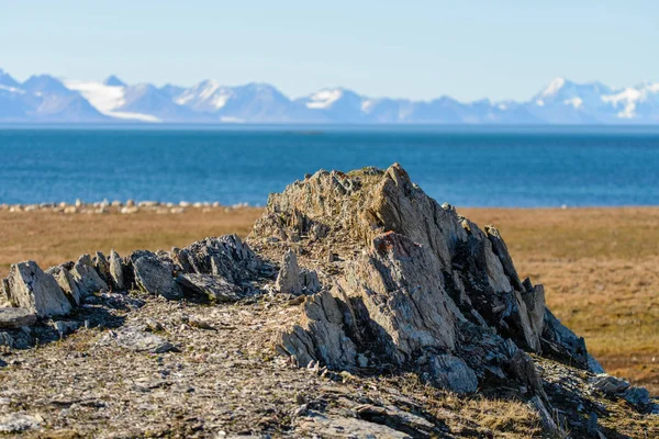 Paisagem Cênica Tundra Outonal Com Grama Marrom Alasca — Fotografia de Stock