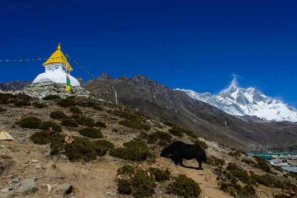 Trekking Nepal Himalaya — Foto de Stock