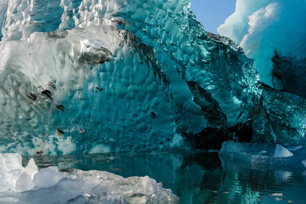 Удивительный Вид Кусок Ледника — стоковое фото