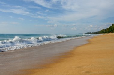 Dalgalar ile plaj manzarası
