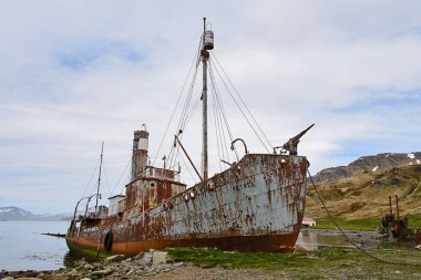 Grytviken, Güney Georgia üzerinde eski paslı balina gemisi