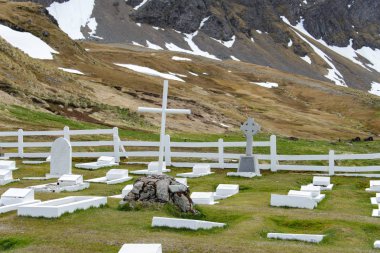 Grytviken, Güney Georgia üzerinde eski mezarlığı