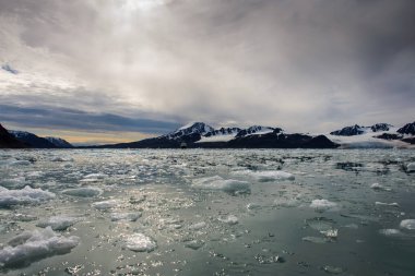 Svalbard kutup manzara
