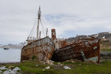 Grytviken, Güney Georgia üzerinde eski paslı balina gemisi