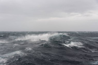 Gündüz güzel fırtınalı denizde