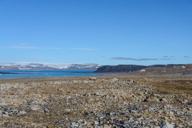 Svalbard kutup manzara