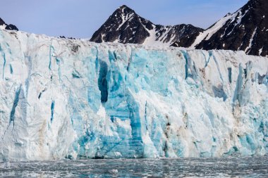 Svalbard kutup manzara