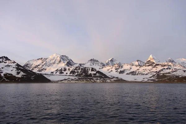 Zuid Georgië Ochtend Landschap — Stockfoto