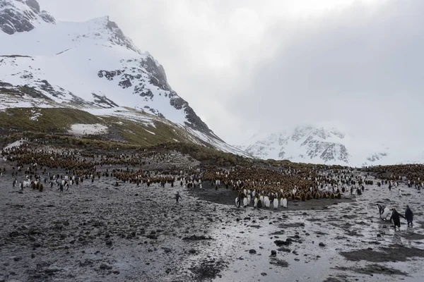 Beautiful South Georgia landscape