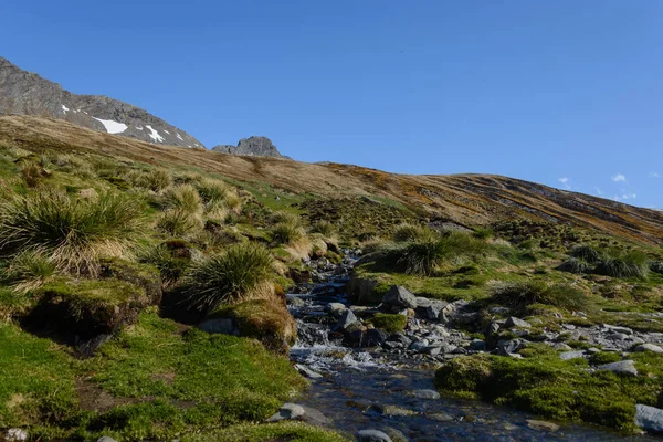 Beautiful South Georgia landscape