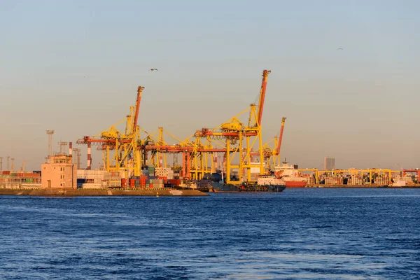 Terminal Contenedores Con Grúas —  Fotos de Stock