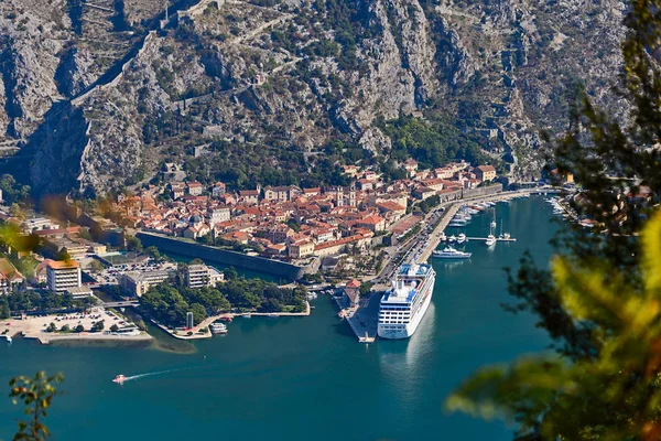 Hermosa Vista Bahía Kotor Desde Colina — Foto de Stock