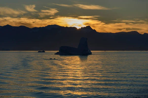 Bela Paisagem Vista Com Iceberg — Fotografia de Stock