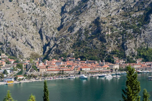 Hermosa Vista Bahía Kotor Desde Colina — Foto de Stock