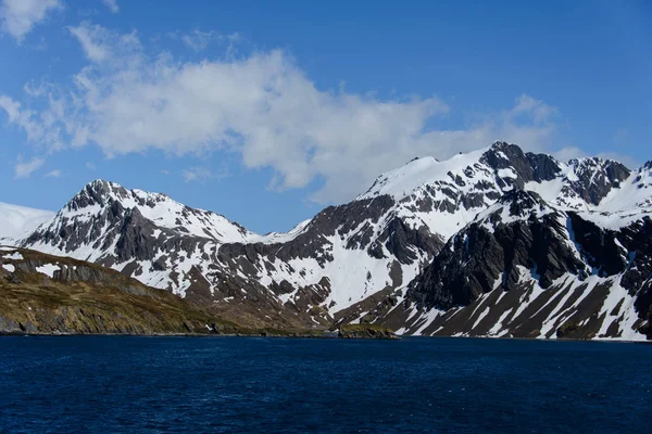 Hermoso Paisaje Georgia Del Sur —  Fotos de Stock