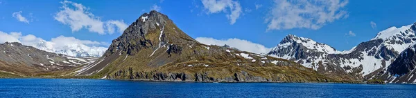 Landskab Med Bjerge Dækket Sne Havvand Sydgeorgien - Stock-foto