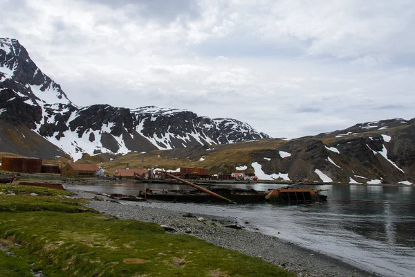 Grytviken Antiga Estação Baleeira Geórgia Sul — Fotografia de Stock