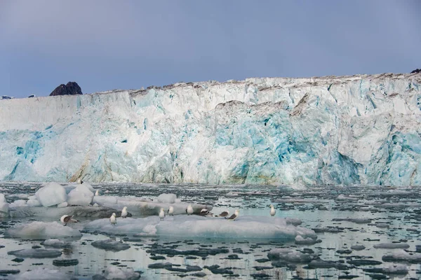 Paisagem Ártica Svalbard — Fotografia de Stock