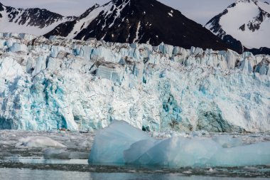Svalbard kutup manzara