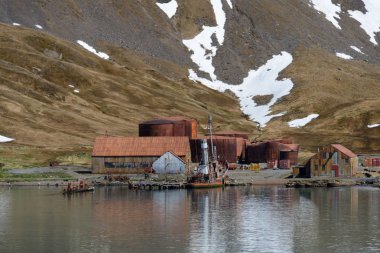 Grytviken - Güney Georgia istasyonda balina avcılığı eski