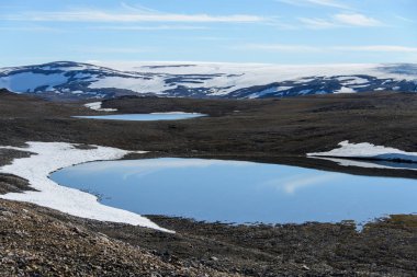 Svalbard kutup manzara