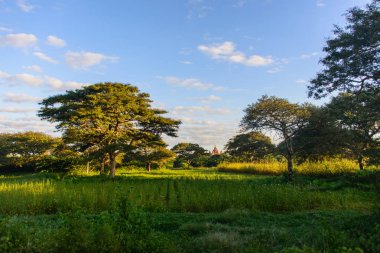 Bagan myanmar gündüz görünümü