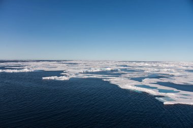 Güzel Arktik deniz manzarası görünümü