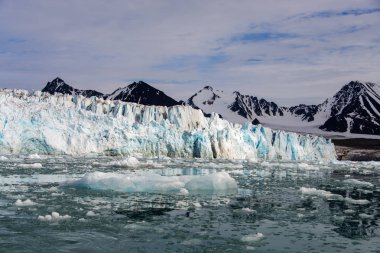 Svalbard kutup manzara