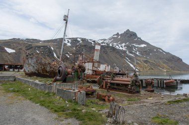 Grytviken, Güney Georgia üzerinde eski paslı balina gemisi