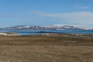 Svalbard kutup manzara