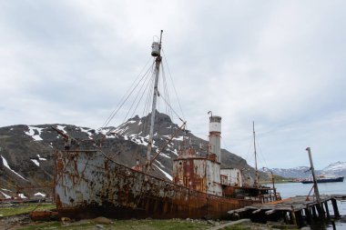 Grytviken, Güney Georgia üzerinde eski paslı balina gemisi