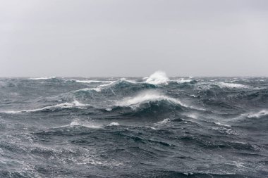 Gündüz güzel fırtınalı denizde