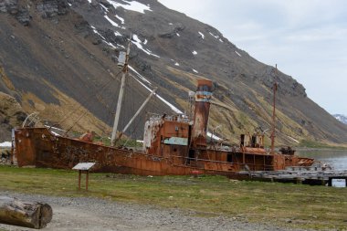 Grytviken, Güney Georgia üzerinde eski paslı balina gemisi