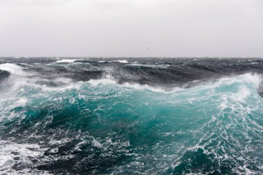 Gündüz güzel fırtınalı denizde