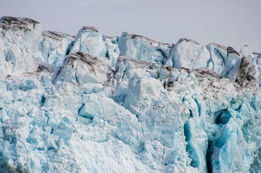 Svalbard kutup manzara