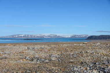 Svalbard kutup manzara