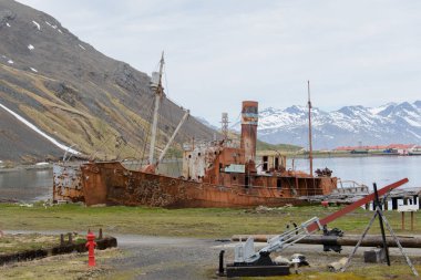 Grytviken, Güney Georgia üzerinde eski paslı balina gemisi