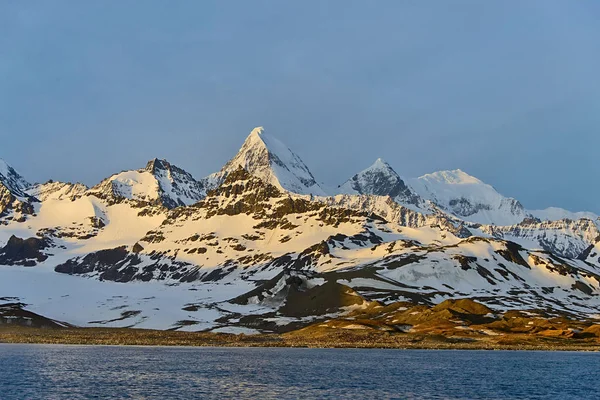 Zuid Georgië Ochtend Landschap — Stockfoto