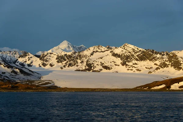 Zuid Georgië Ochtend Landschap — Stockfoto