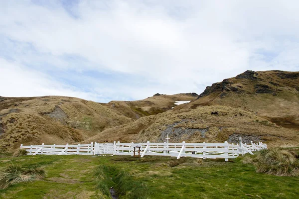 Alter Friedhof Grytviken Auf Südgeorgien — Stockfoto