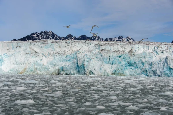 Paesaggio Artico Nelle Svalbard — Foto Stock